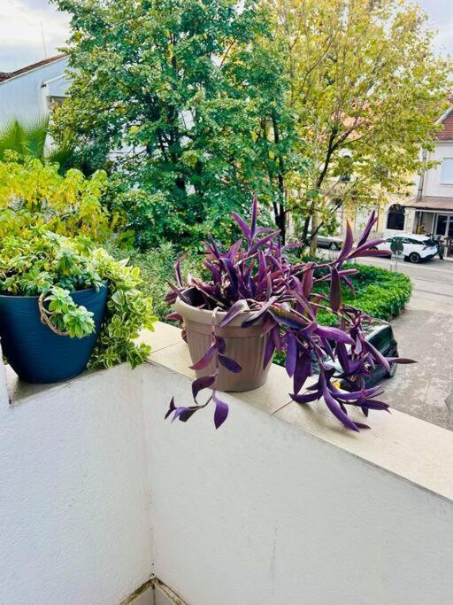 Center Oasis Retreat Apartment Podgorica